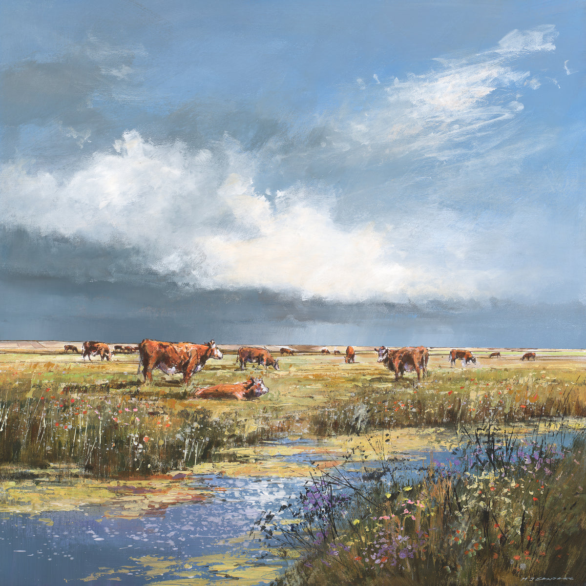 MS203 Cattle on the Marsh
