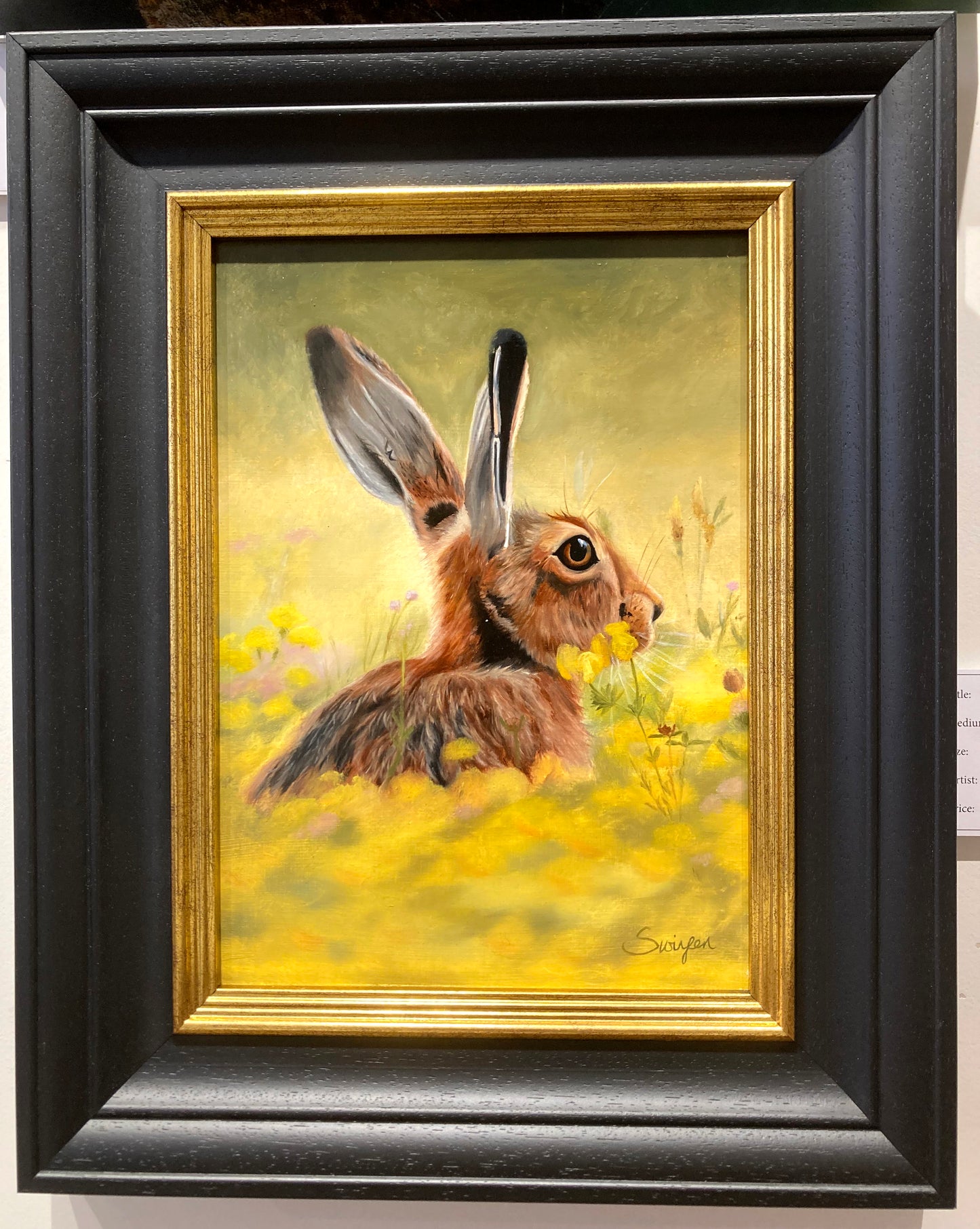 Hare in a Field of Flowers