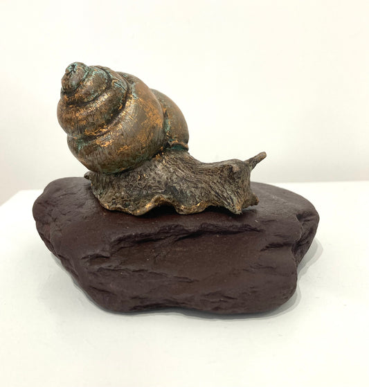 Trail Blazing - Bronze Snail Sculpture by Perdita Peacock at the Sanders and Christie Gallery.