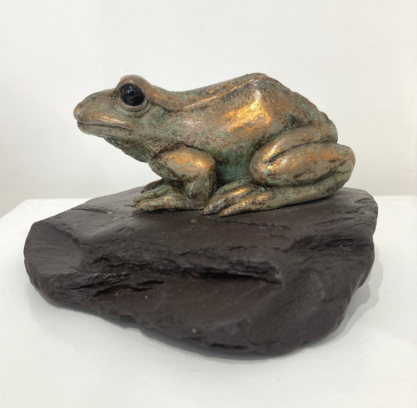 Under Observation - Frog Sculpture by Perdita Peacock at Sanders and Christie Gallery in Sheringham