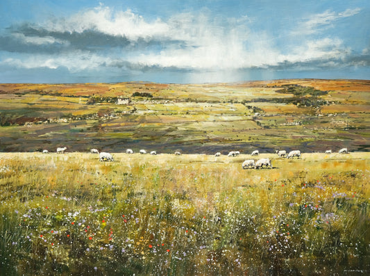 CV121 Across Wensleydale