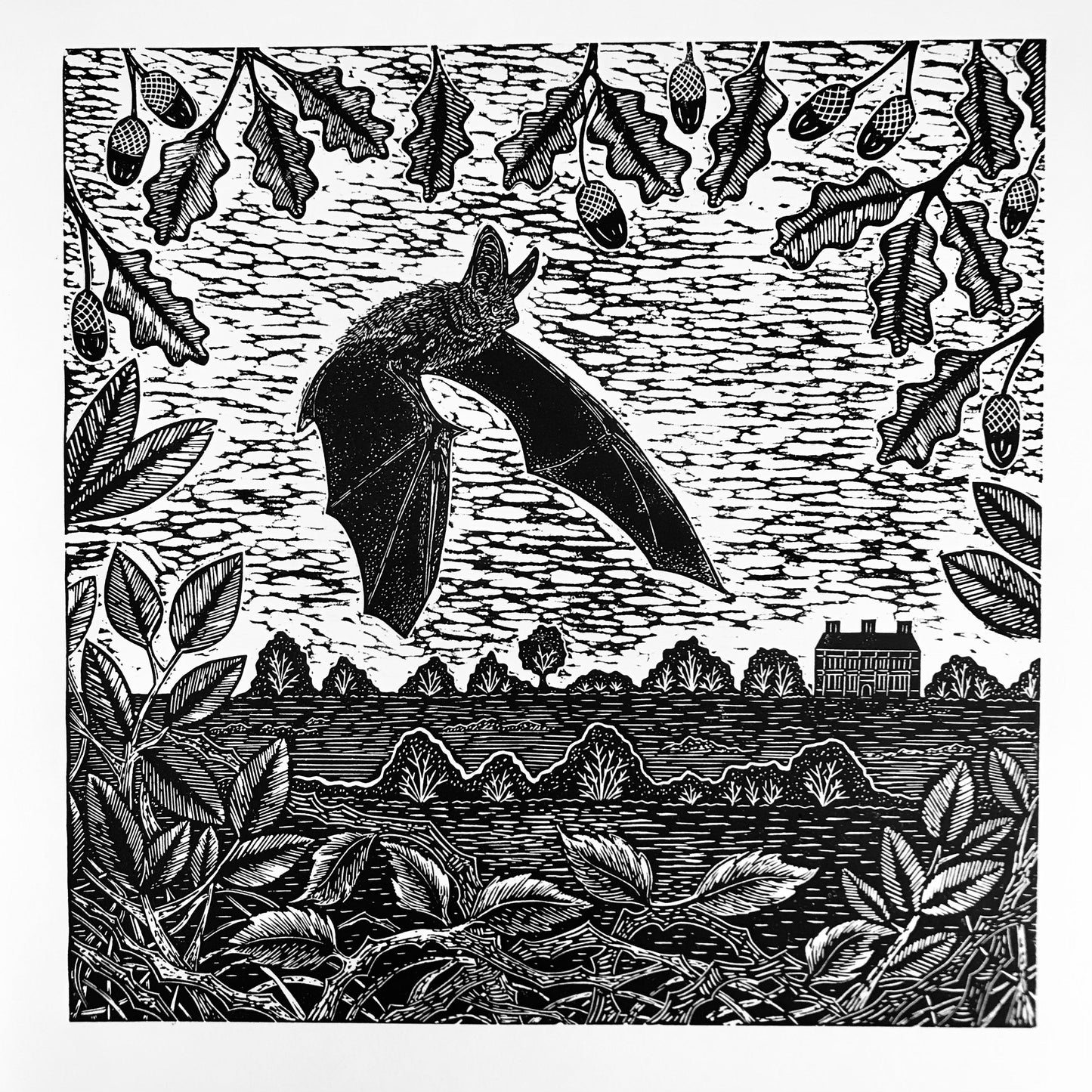 Brown Long-eared Bat at Felbrigg Hall Lino Print by Joanna Padfield
