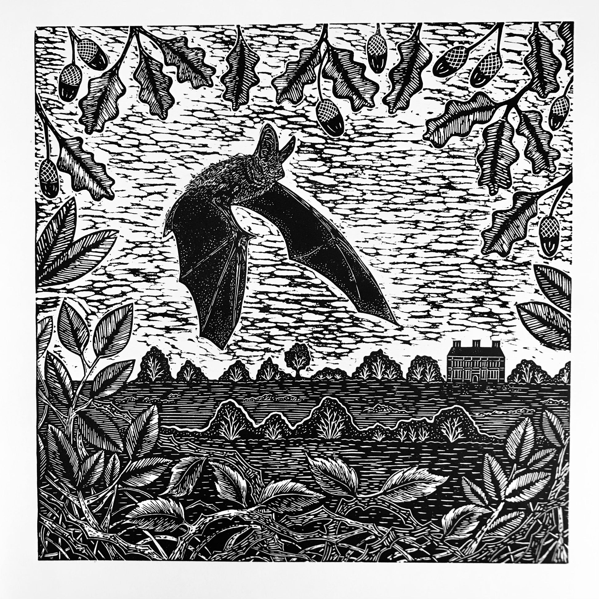 Brown Long-eared Bat at Felbrigg Hall Lino Print by Joanna Padfield