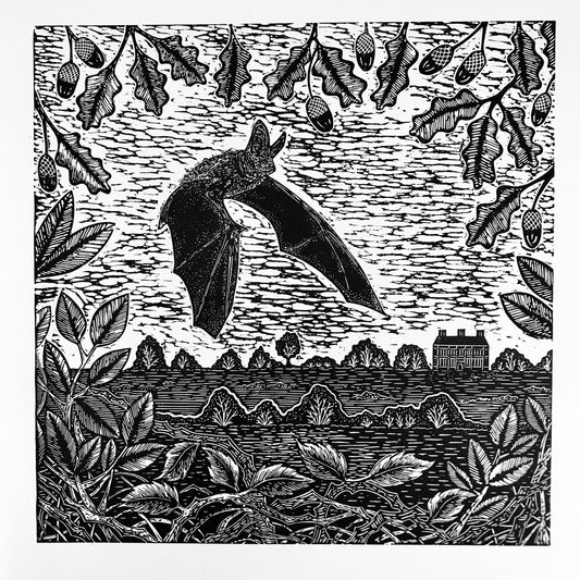 Brown Long-eared Bat at Felbrigg Hall Lino Print by Joanna Padfield