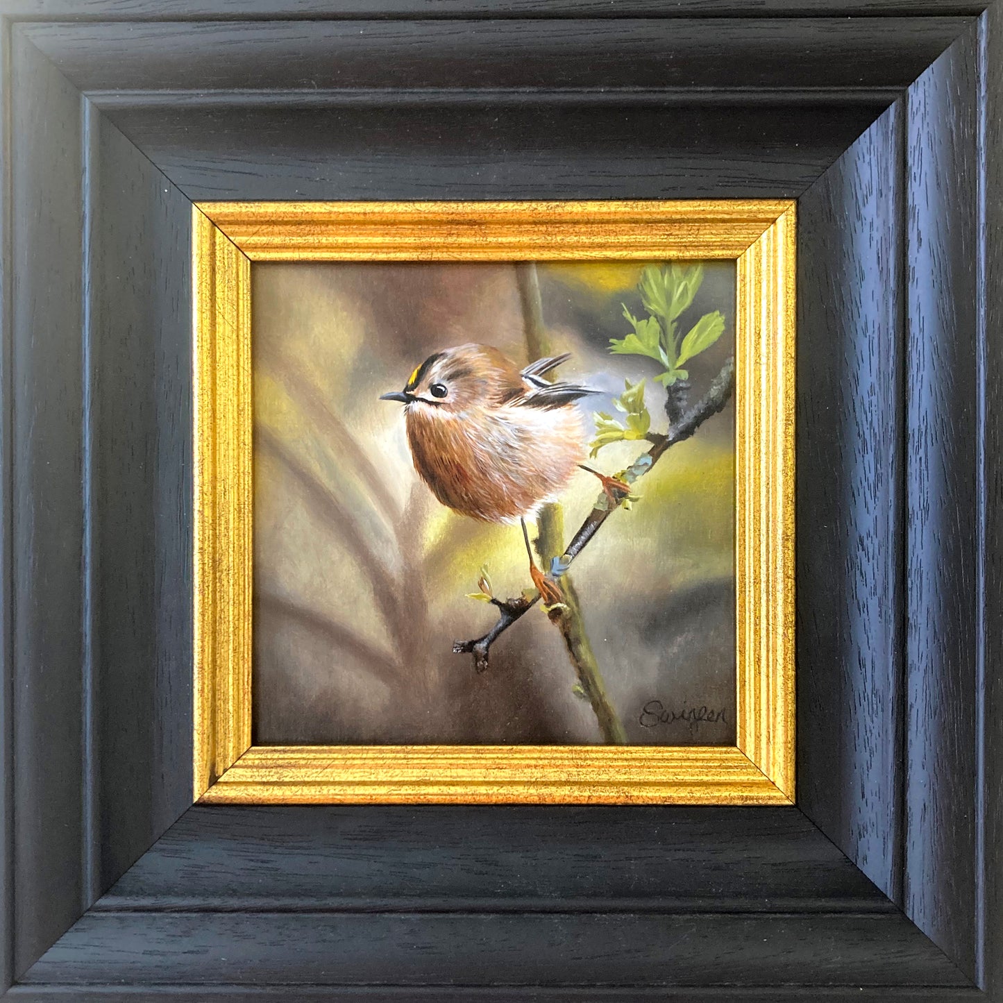 Goldcrest