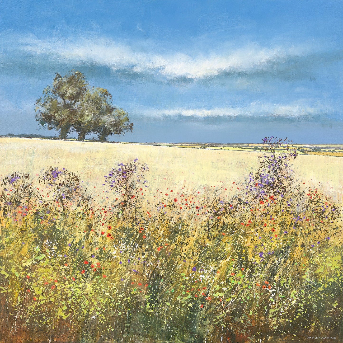 Hedgerow in Summer Canvas Print by Michael Sanders