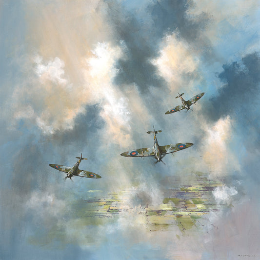 Spitfires Canvas Print by Michael Sanders