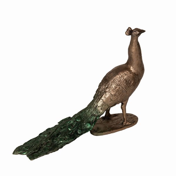 Green Peacock by Jonathan Sanders