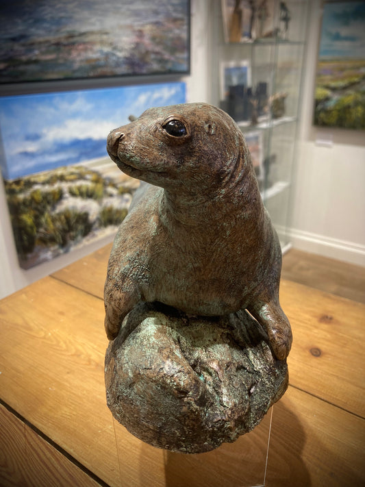 Grey Seal Bronze Sculpture by Perdita Peacock at the Sanders and Christie Gallery in Sheringham.