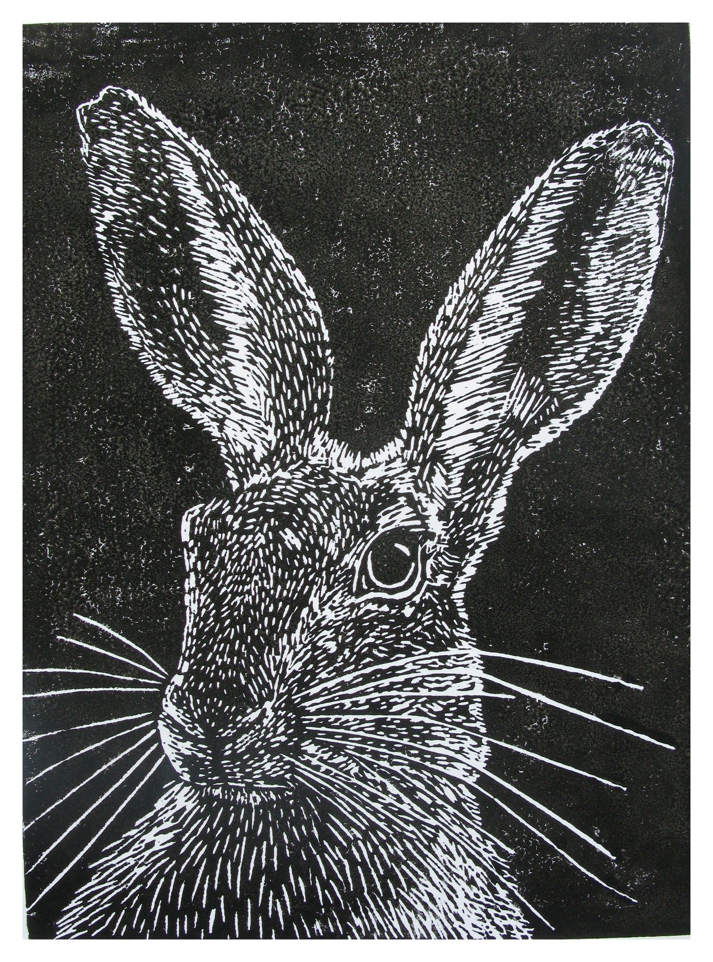 Hare Lino Print by Joanna Padfield