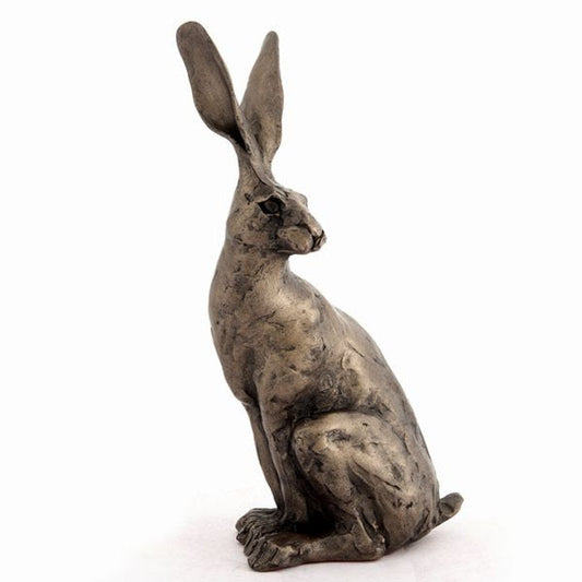 Hare Sitting Bronze Sculpture by Paul Jenkins
