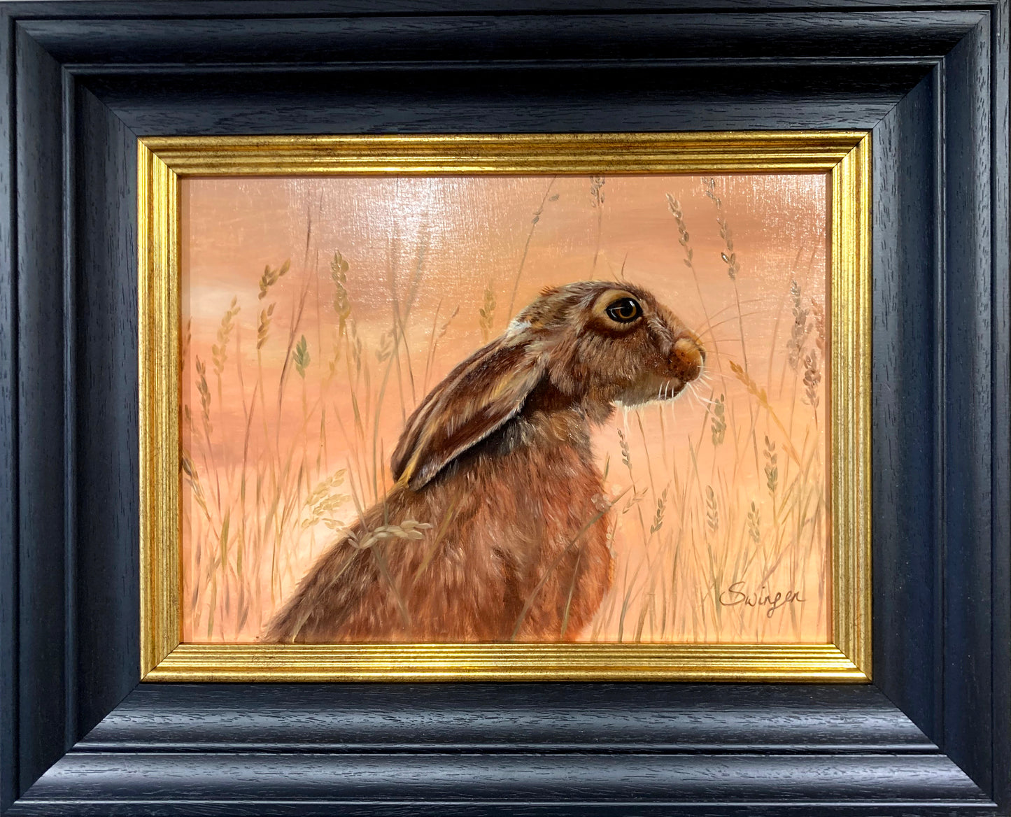 Hare in the Evening Light