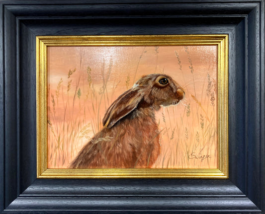 Hare in the Evening Light