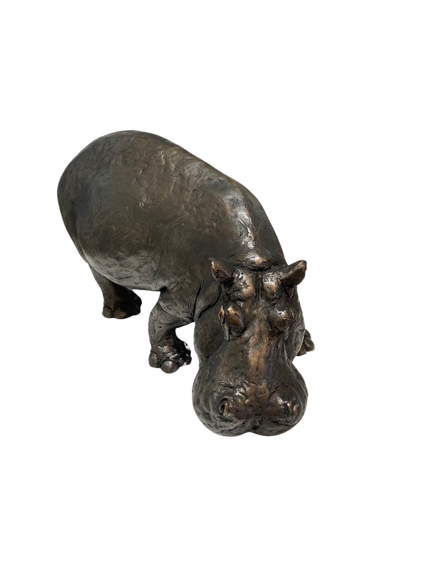 Hippo limited edition cold cast bronze sculpture - bronze