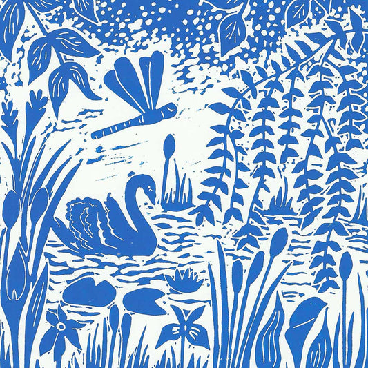 A Dragonfly & Swan Greeting Card by Joanna Padfield for sale at the Sanders and Christie Gallery in Sheringham.