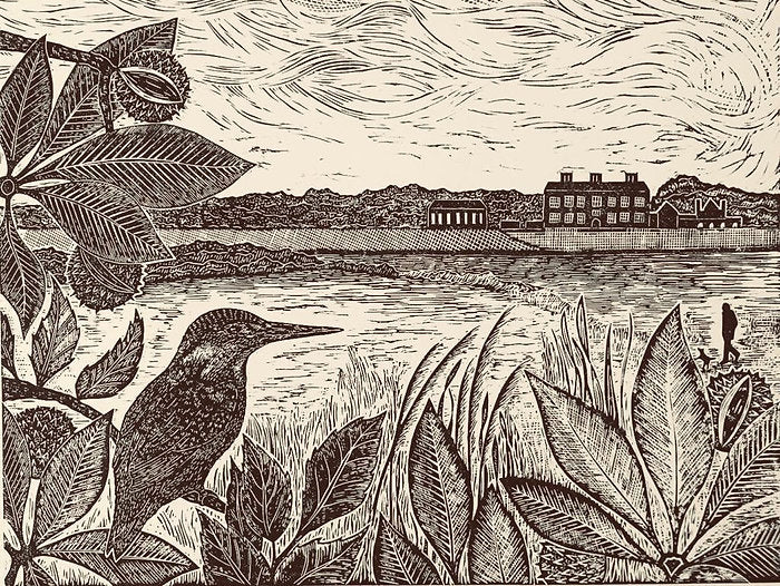 Kingfisher at Felbrigg Hall Lino Print by Joanna Padfield
