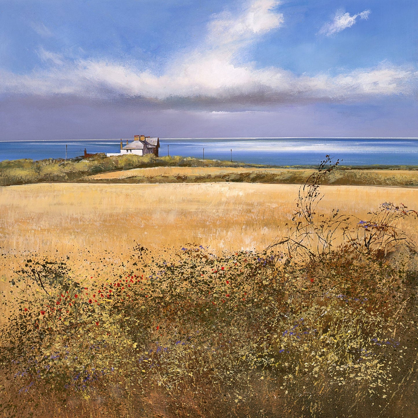 Coastguard Cottages Art Print by Michael Sanders