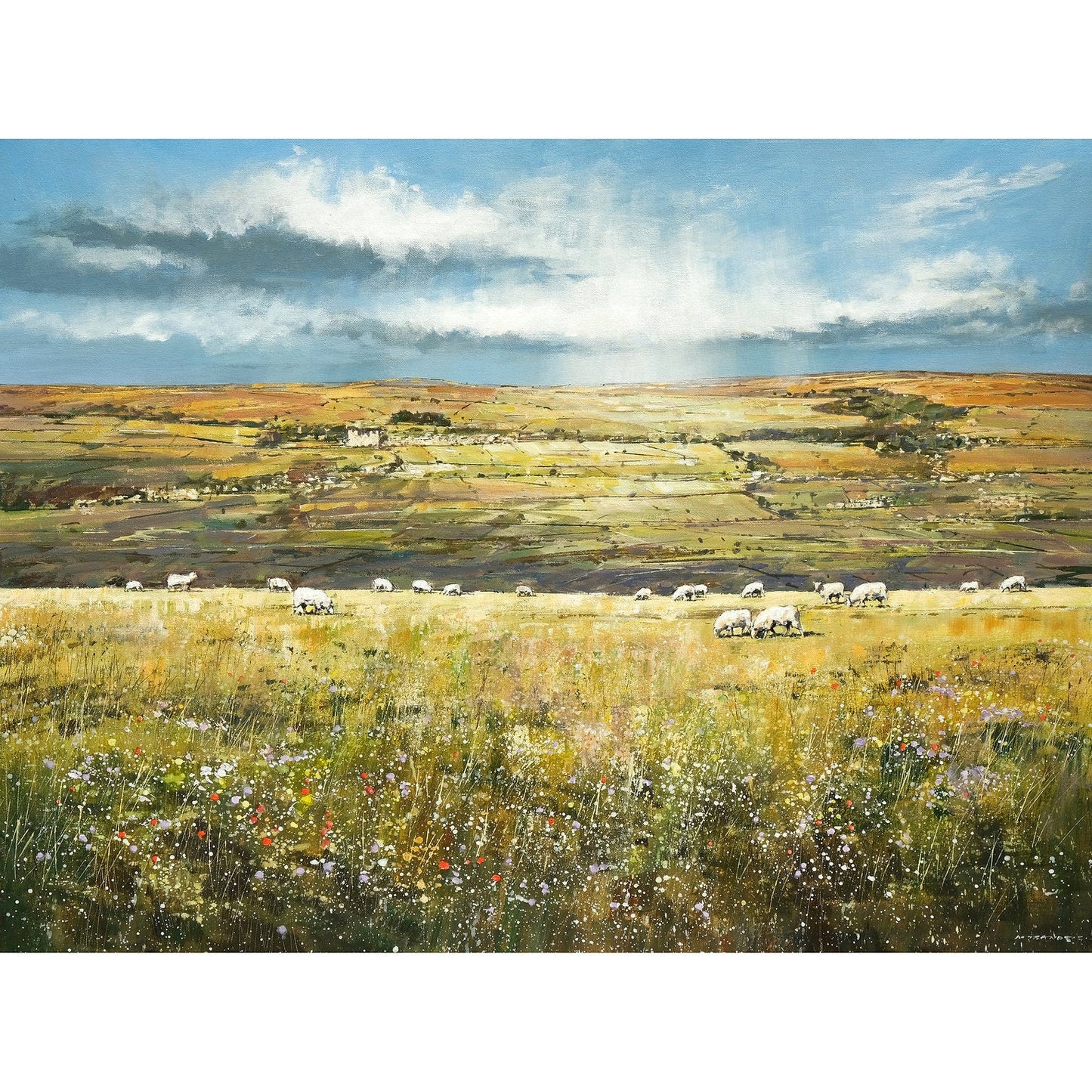 Across Wensleydale Art Print by Michael Sanders
