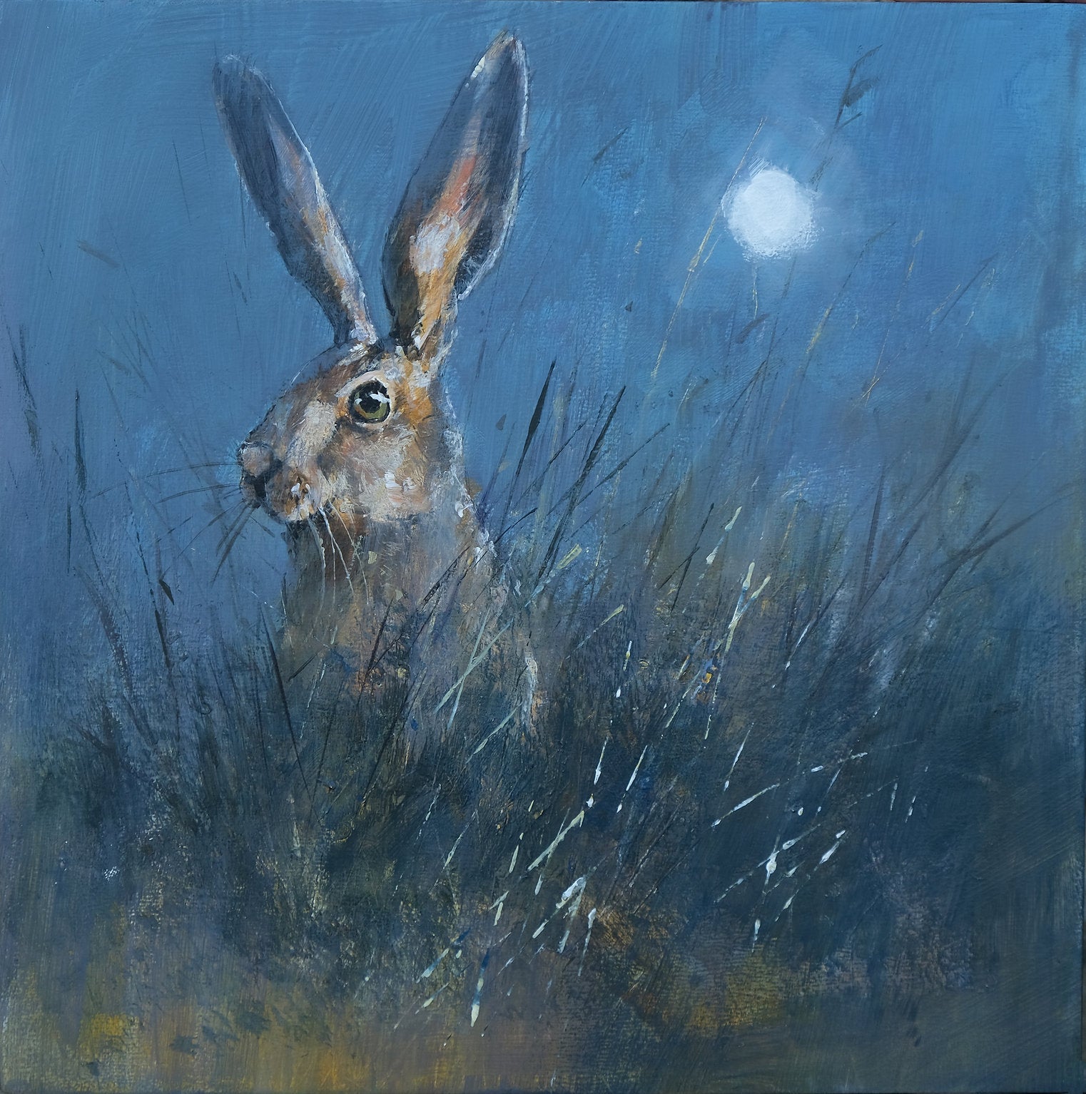 Moonlit Hare Art Print by Michael Sanders