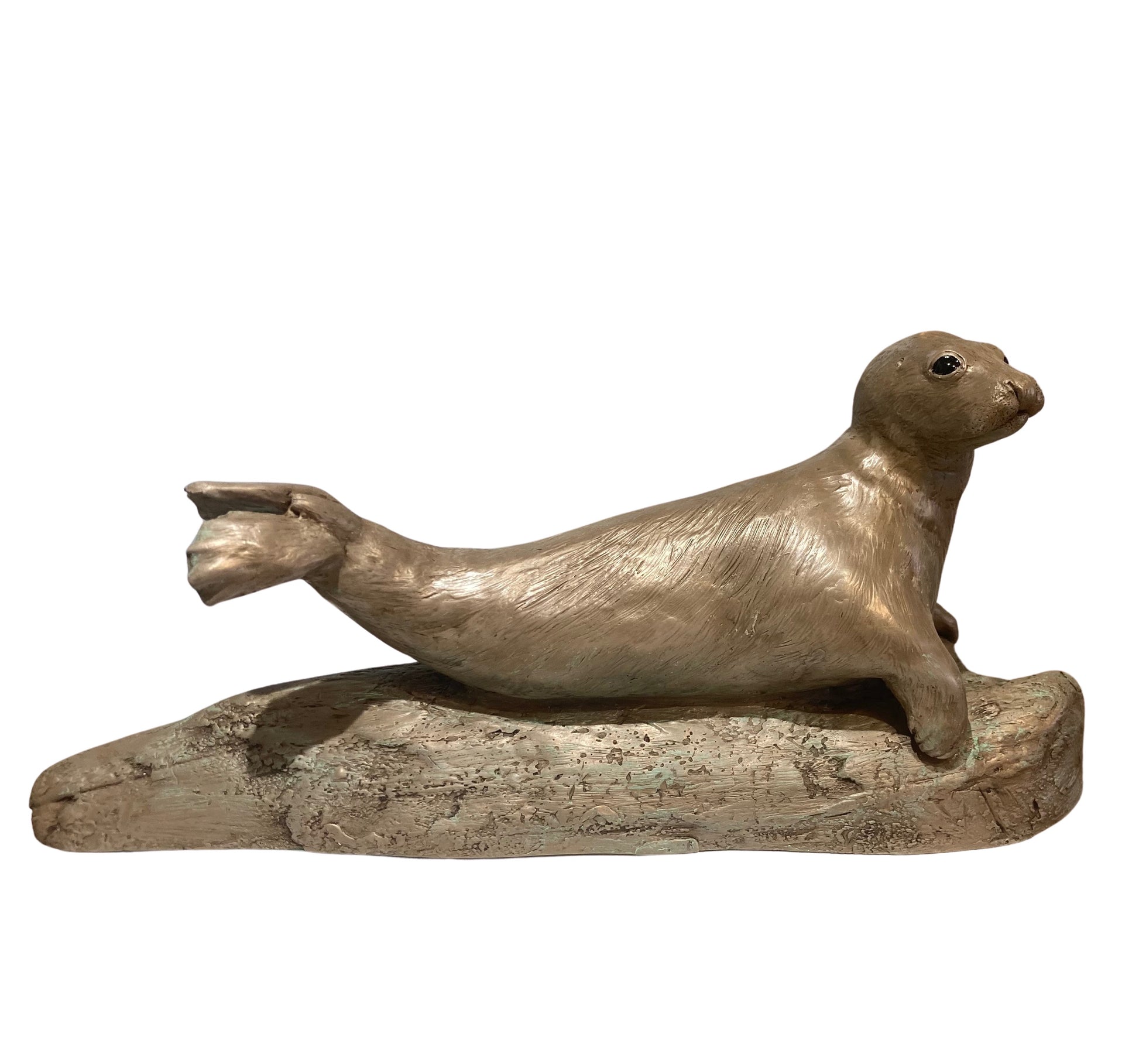 Grey Seal Bronze Sculpture by Perdita Peacock at the Sanders and Christie Gallery in Sheringham.