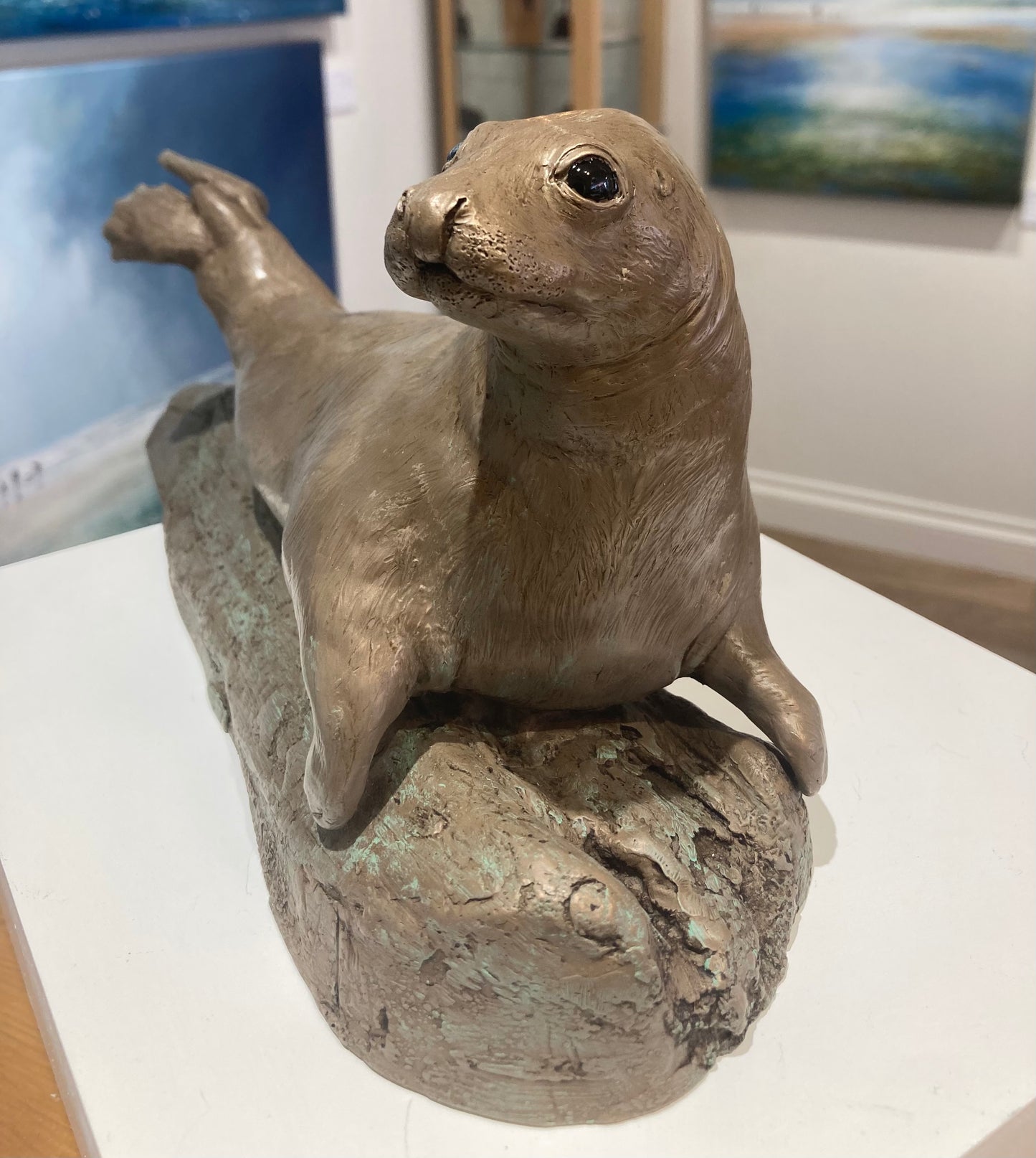 Grey Seal Bronze Sculpture by Perdita Peacock at the Sanders and Christie Gallery in Sheringham.