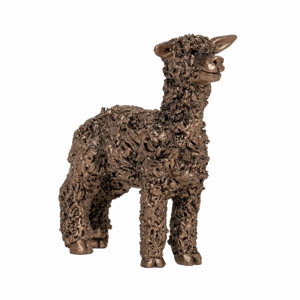 Standing Alpaca Bronze Sculpture by Unknown
