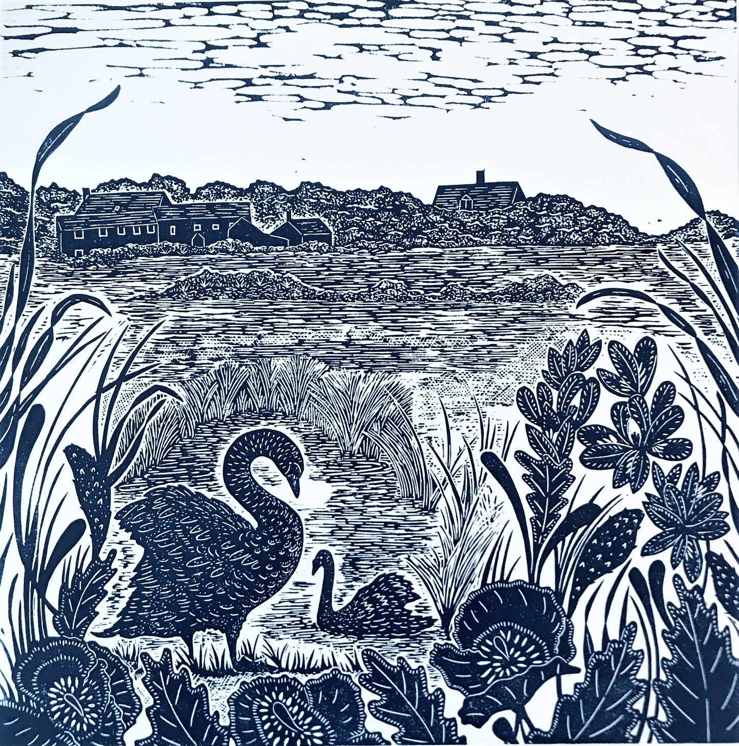 Swans at Salthouse Marsh Lino Print by Joanna Padfield