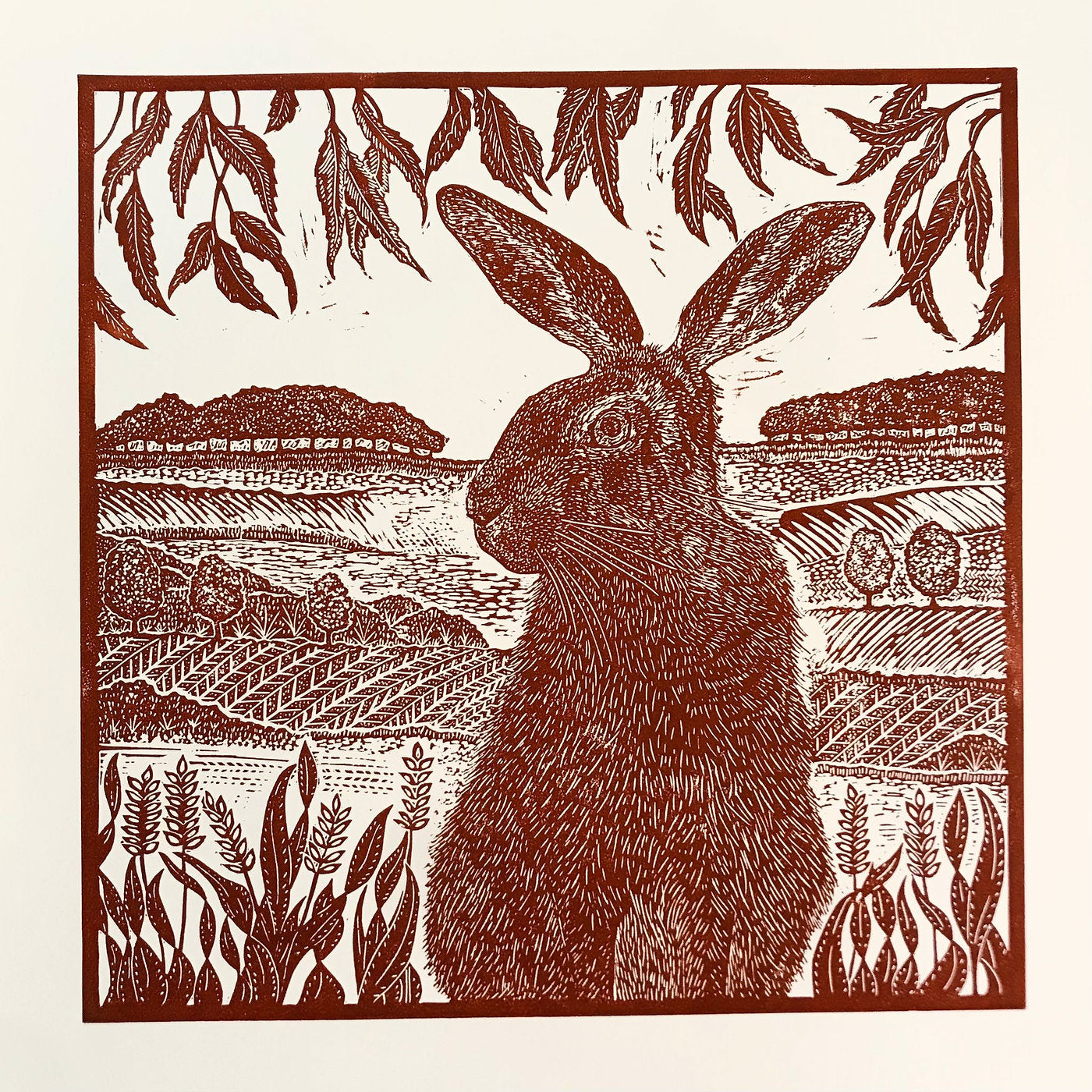 Joanna Padfield Linocut Prints | Sanders and Christie