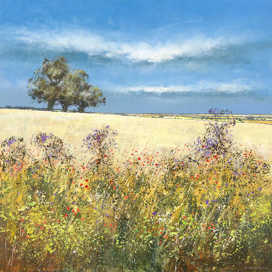 This Hedgerow in Summer Greetings Card by Michael Sanders is available to purchase online from the Sanders and Christie Gallery.