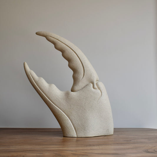 Large Sandy Crab Claw