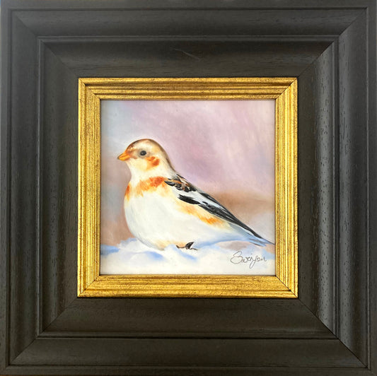 Snow Bunting