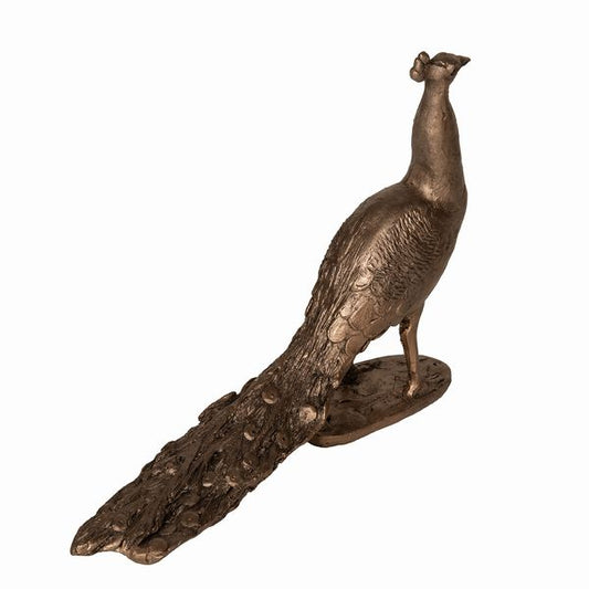 Bronze Peacock by Jonathan Sanders