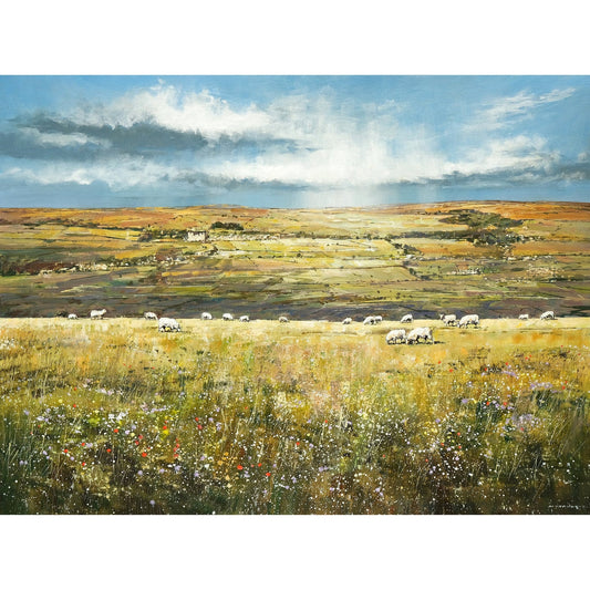 Across Wensleydale by Michael Sanders