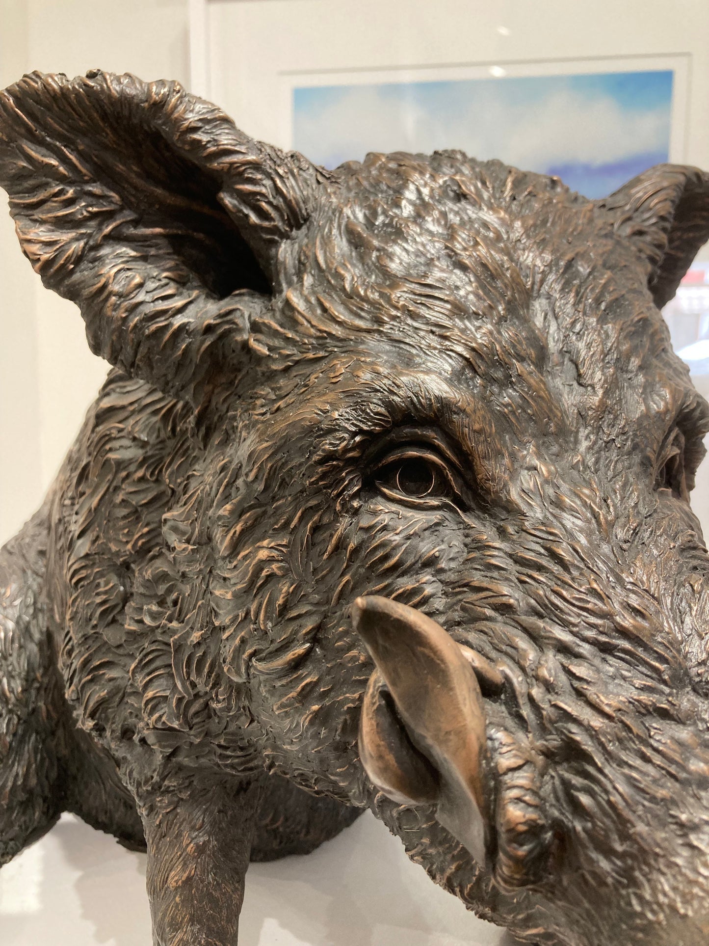 Awakening - Wild Boar
