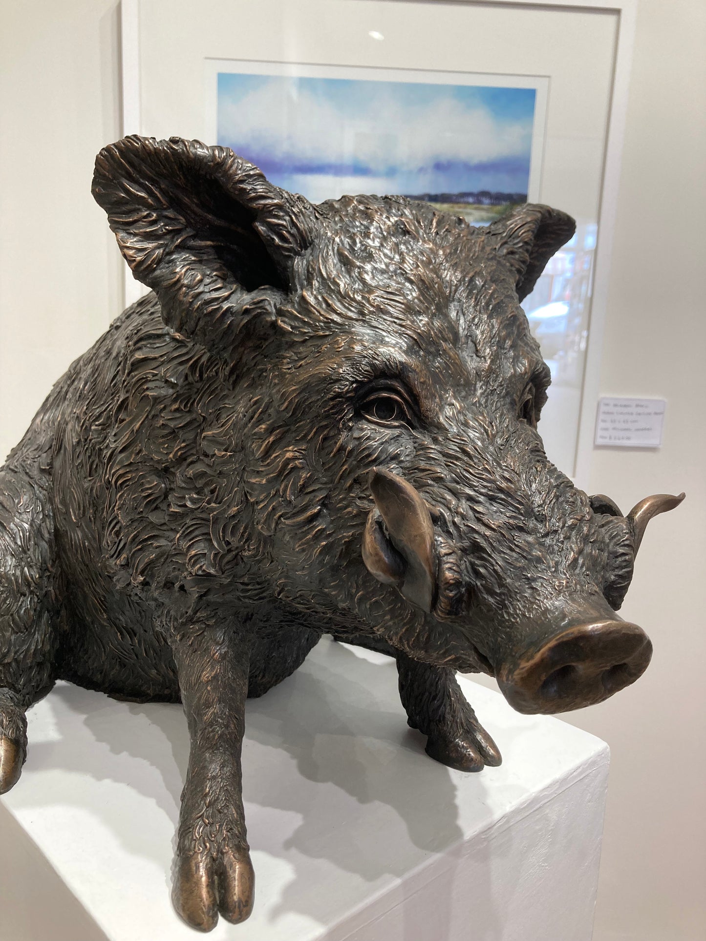 Awakening - Wild Boar